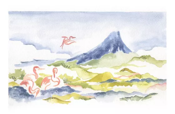 Illustrations - 3
