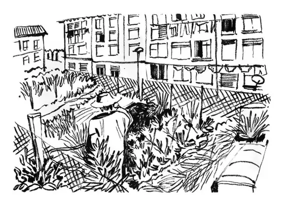 Illustrations - 19
