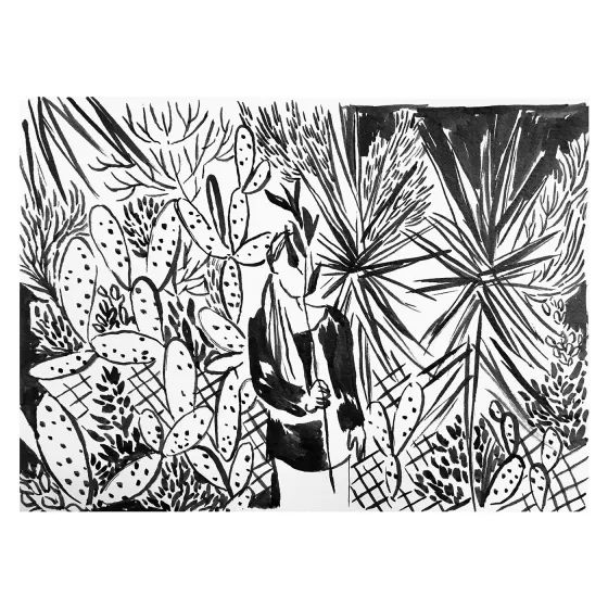 Illustrations - 2