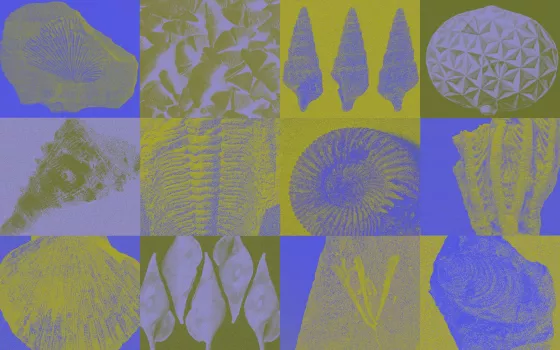 7th Extinction - artistic residency - 1
