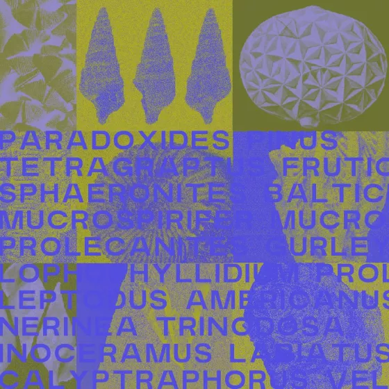 7th Extinction - artistic residency - 4