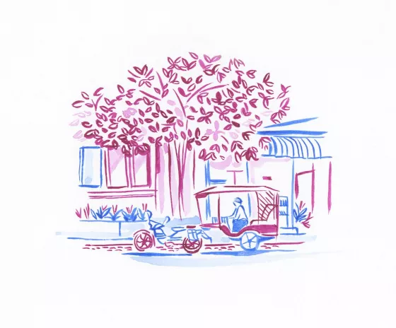 Illustrations - 10