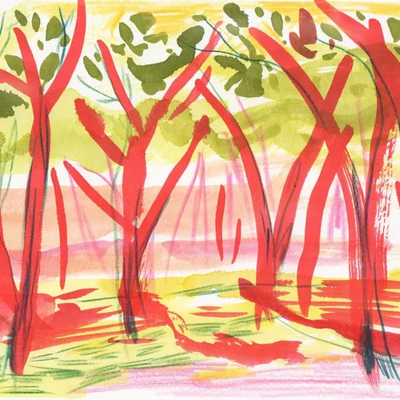 Illustrations